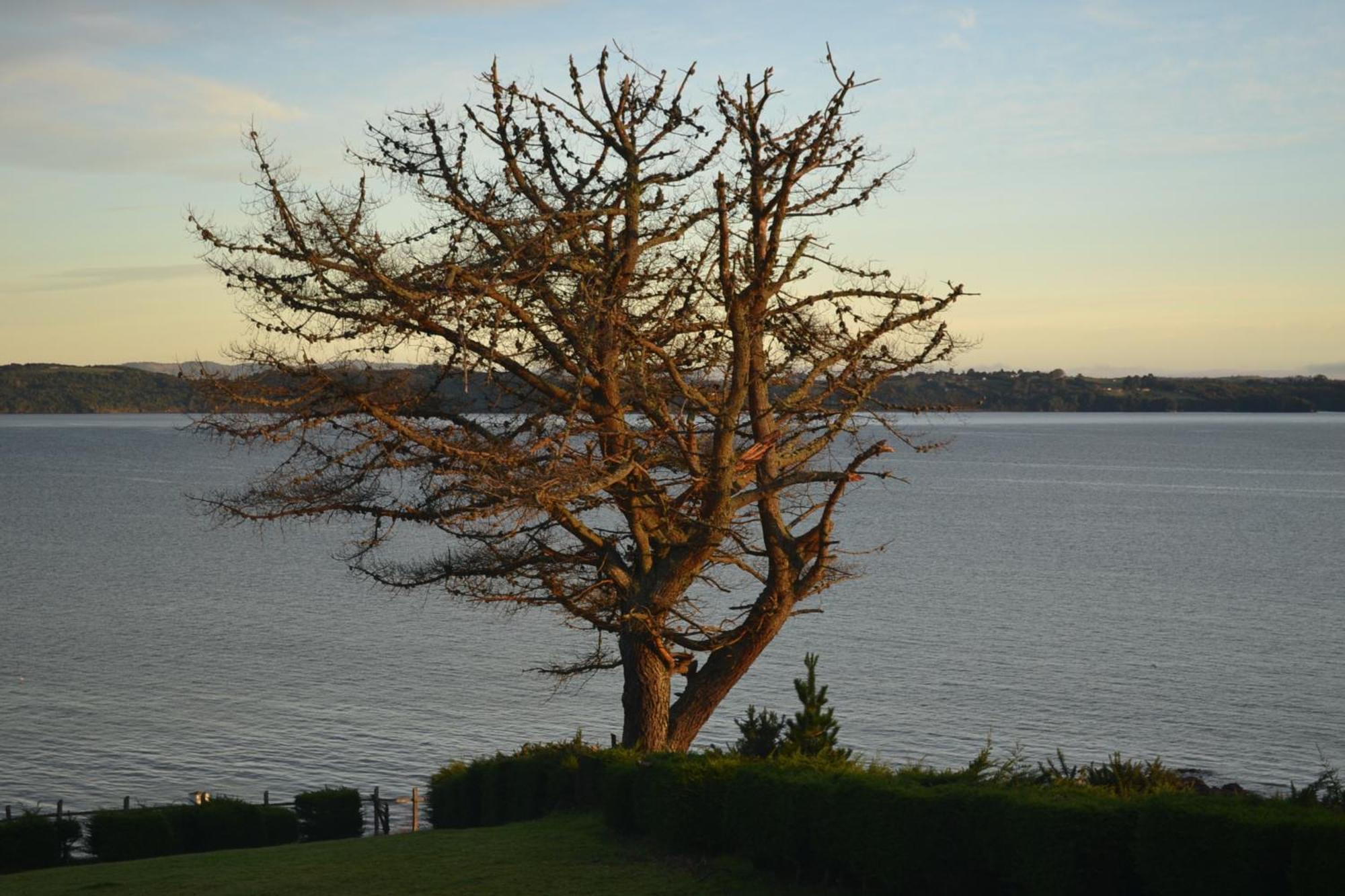 Panamericana Hotel Ancud Exterior foto